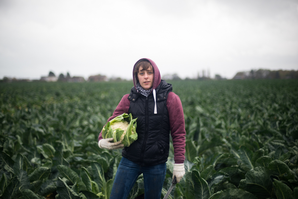 Gleaning in the UK - Documentary and Portrait Photography by Chris King